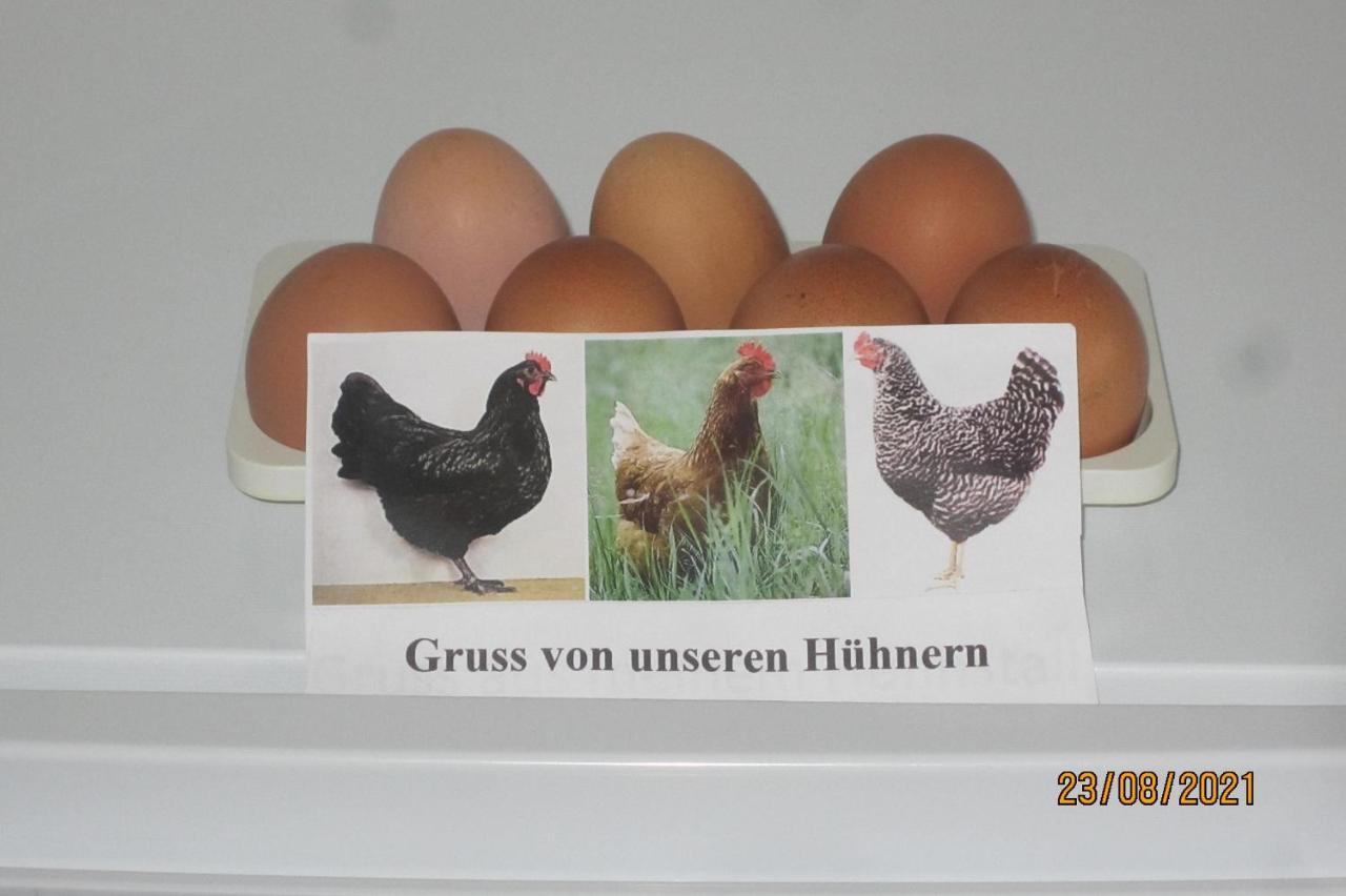 Ferienwohnung Landsknecht Volkach Exteriör bild